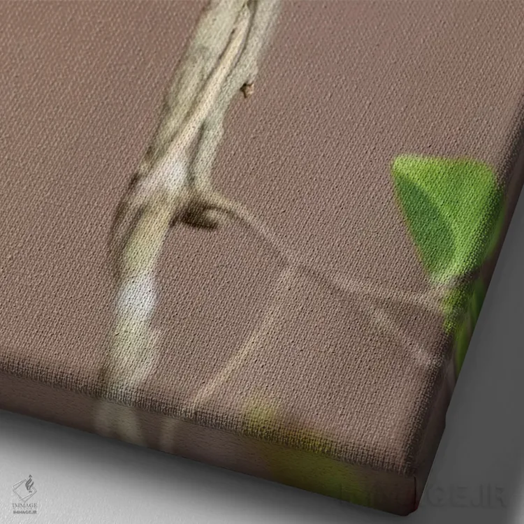 تابلو دکوراتیو کینگلت تاج سرخ نشسته اثر لری دیتو - نمای نزدیک بافت بوم