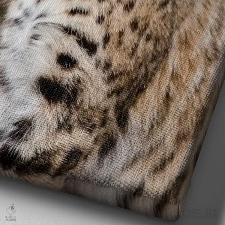 تابلو دکوراتیو گربه وحشی نشسته اثر لری دیتو - نمای نزدیک بافت بوم