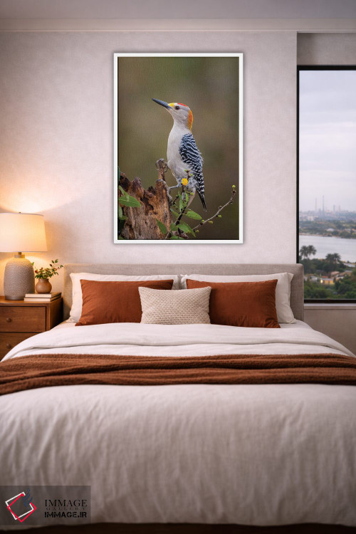 تابلو دکوراتیو دارکوب طلایی پیشانی در حال جستجوی غذا اثر لری دیتو - D3W