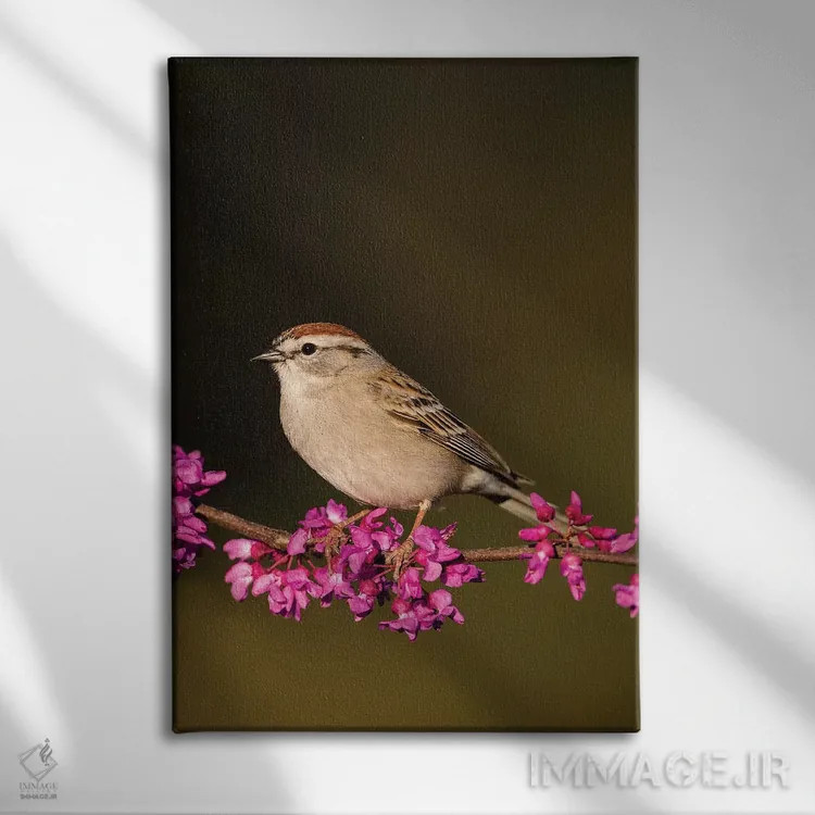 تابلو دکوراتیو گنجشک چیپینگ نشسته اثر لری دیتو - نمای روبهرو روی دیوار