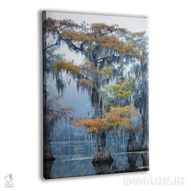 تابلو دکوراتیو سرو باتلاقی در رنگ های پاییز اثر لری دیتو - نمای پرسپکتیو محصول