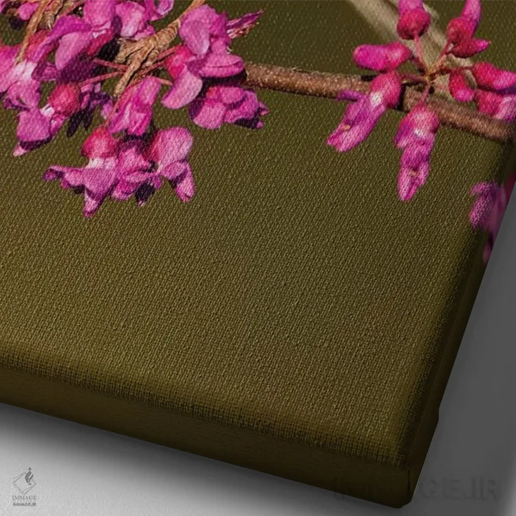 تابلو دکوراتیو گنجشک چیپینگ نشسته اثر لری دیتو - نمای نزدیک بافت بوم