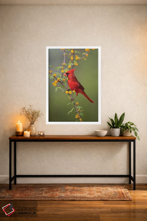 تابلو دکوراتیو کارباورال شمالی نشسته اثر لری دیتو - D4W