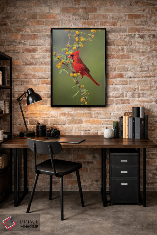 تابلو دکوراتیو کارباورال شمالی نشسته اثر لری دیتو - D5B