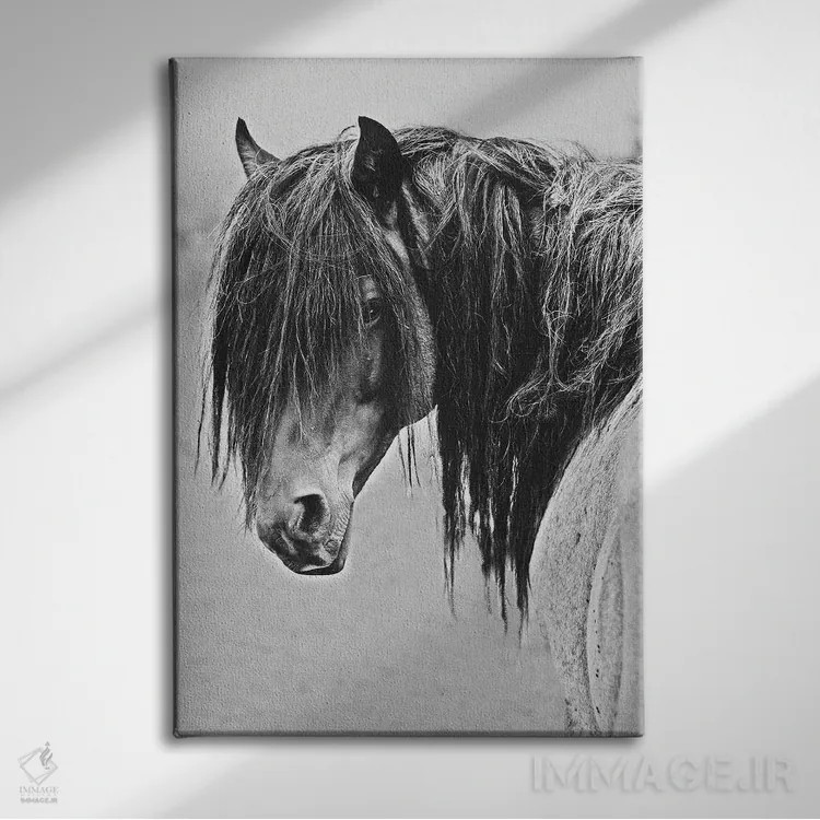 تابلو دکوراتیو آزادی اثر سالی لیندن - نمای روبهرو روی دیوار