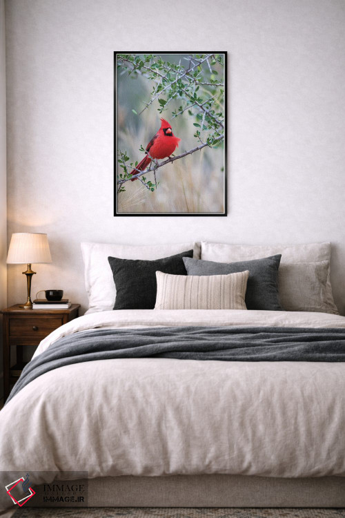 تابلو دکوراتیو کارباورال شمالی نشسته اثر لری دیتو - D6B