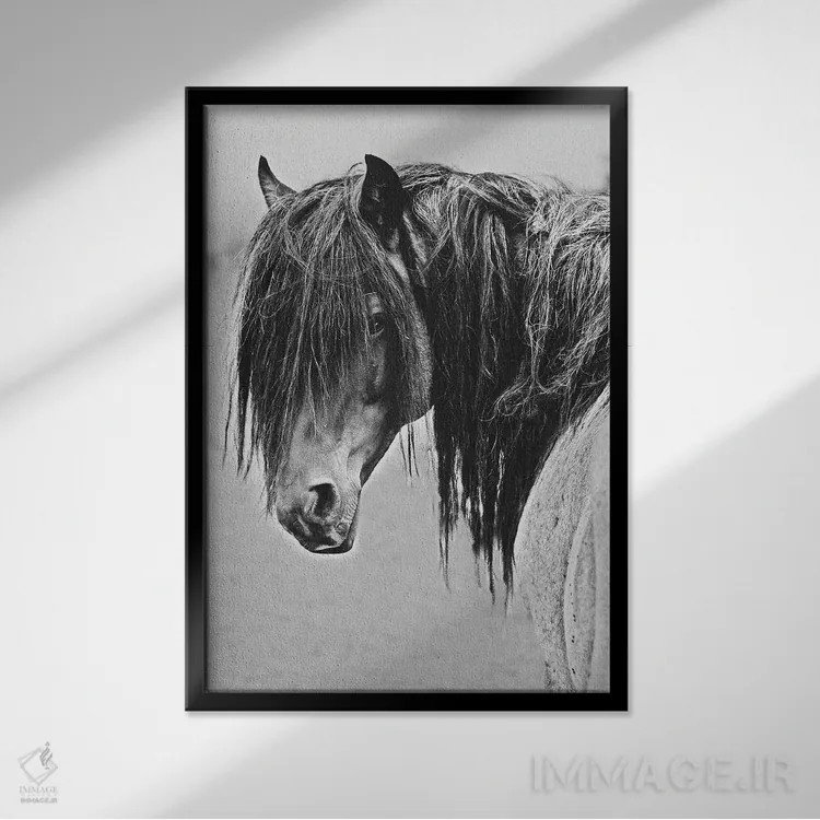 تابلو دکوراتیو آزادی اثر سالی لیندن - نمای قابدار مشکی