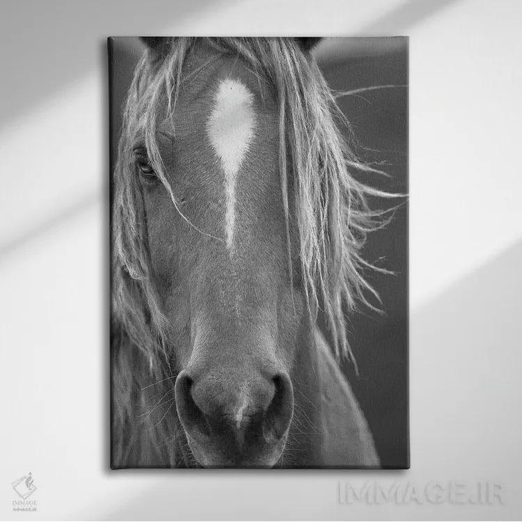 تابلو دکوراتیو نمای نزدیک اثر سالی لیندن - نمای روبهرو روی دیوار