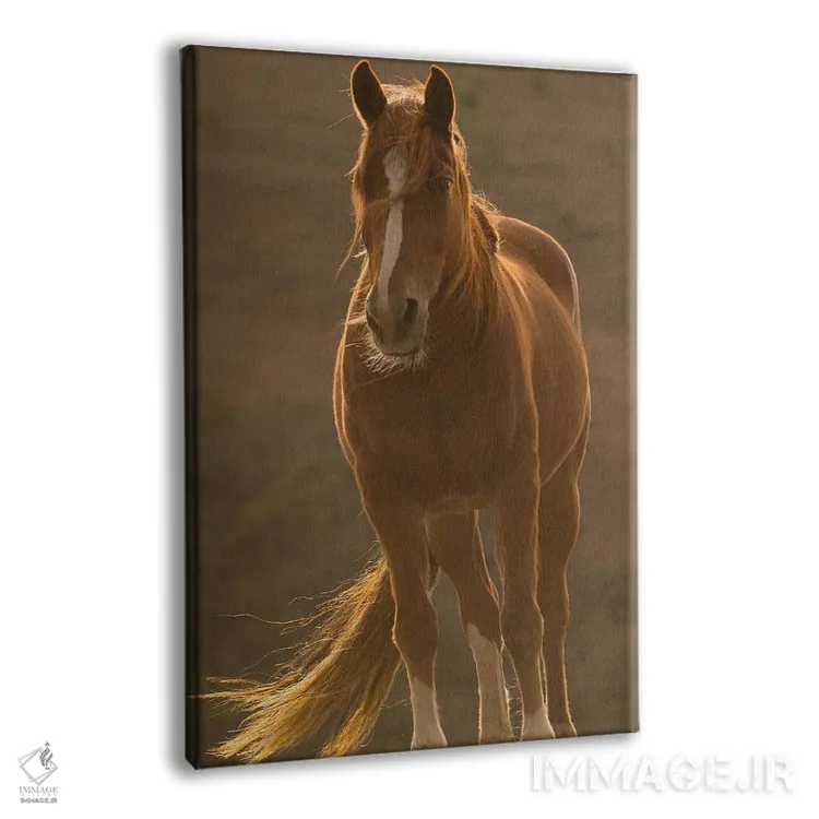 تابلو دکوراتیو در باد وزان اثر سالی لیندن - نمای پرسپکتیو محصول