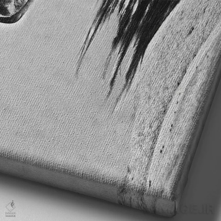 تابلو دکوراتیو آزادی اثر سالی لیندن - نمای نزدیک بافت بوم