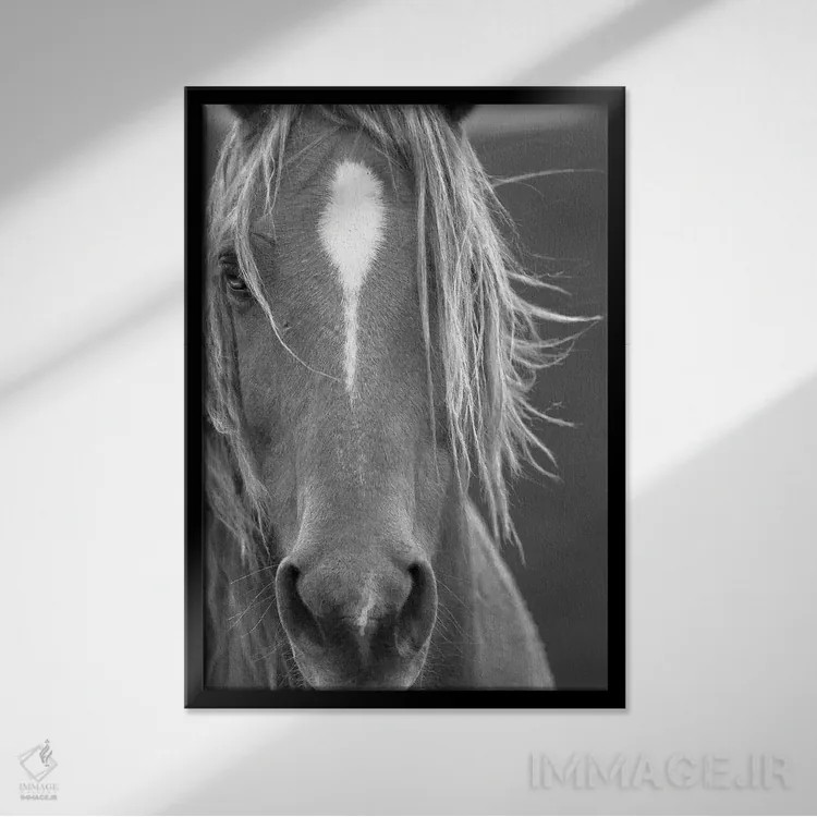 تابلو دکوراتیو نمای نزدیک II اثر سالی لیندن - نمای قابدار مشکی