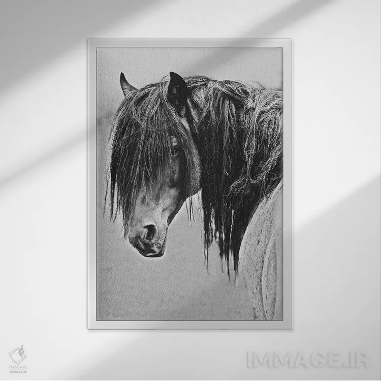 تابلو دکوراتیو آزادی اثر سالی لیندن - نمای قابدار سفید