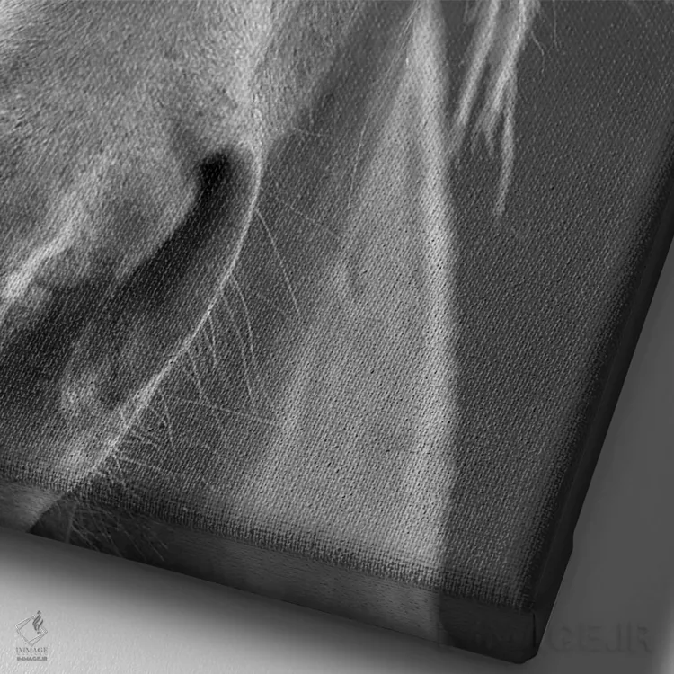 تابلو دکوراتیو نمای نزدیک اثر سالی لیندن - نمای نزدیک بافت بوم