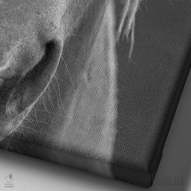 تابلو دکوراتیو نمای نزدیک II اثر سالی لیندن - نمای نزدیک بافت بوم