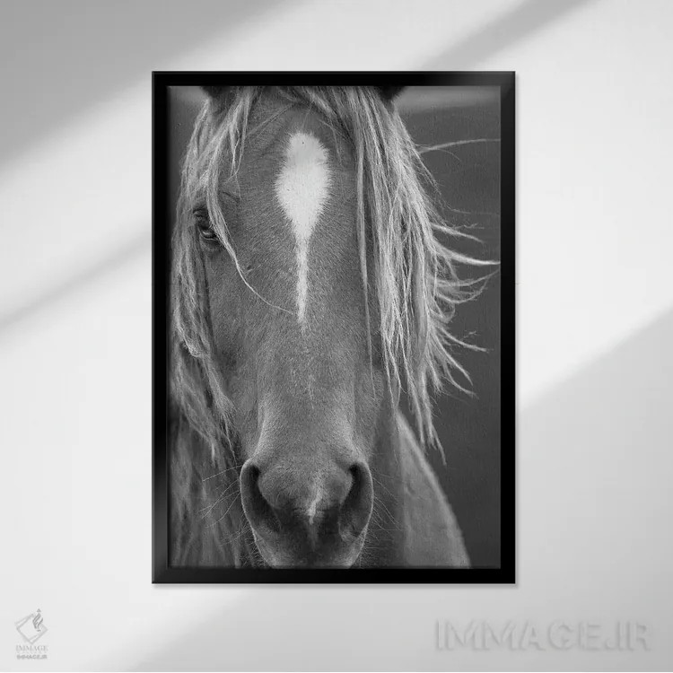 تابلو دکوراتیو نمای نزدیک اثر سالی لیندن - نمای قابدار مشکی