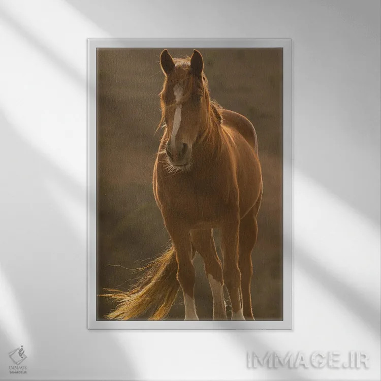 تابلو دکوراتیو در باد وزان اثر سالی لیندن - نمای قابدار سفید