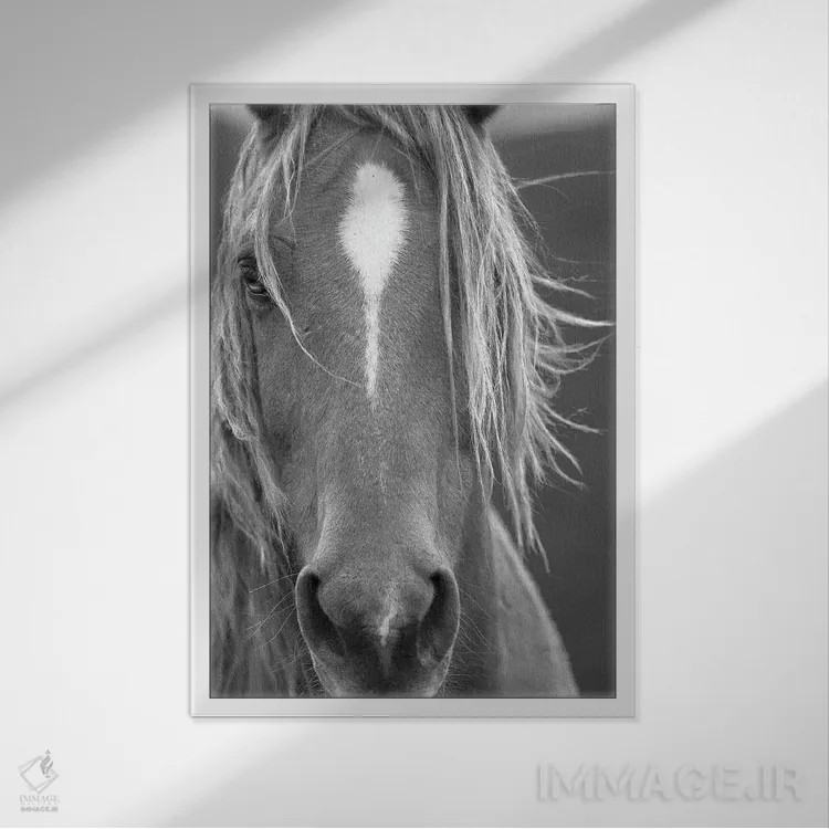 تابلو دکوراتیو نمای نزدیک اثر سالی لیندن - نمای قابدار سفید