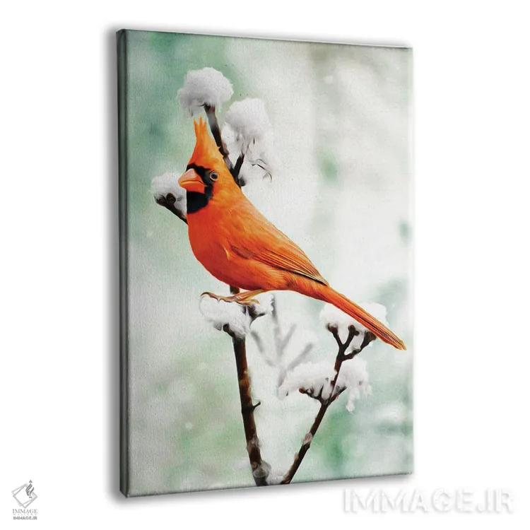 تابلو دکوراتیو کارباورال شمالی بر شاخه برفی اثر لورا دی یانگ - نمای پرسپکتیو محصول