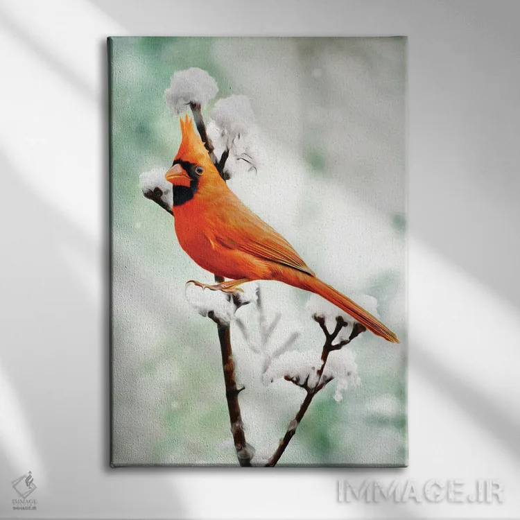 تابلو دکوراتیو کارباورال شمالی بر شاخه برفی اثر لورا دی یانگ - نمای روبهرو روی دیوار