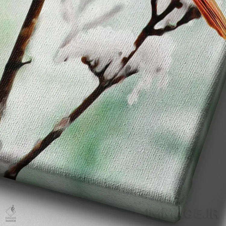 تابلو دکوراتیو کارباورال شمالی بر شاخه برفی اثر لورا دی یانگ - نمای نزدیک بافت بوم