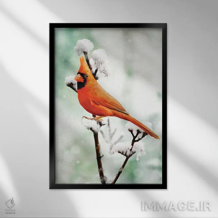 تابلو دکوراتیو کارباورال شمالی بر شاخه برفی اثر لورا دی یانگ - نمای قابدار مشکی