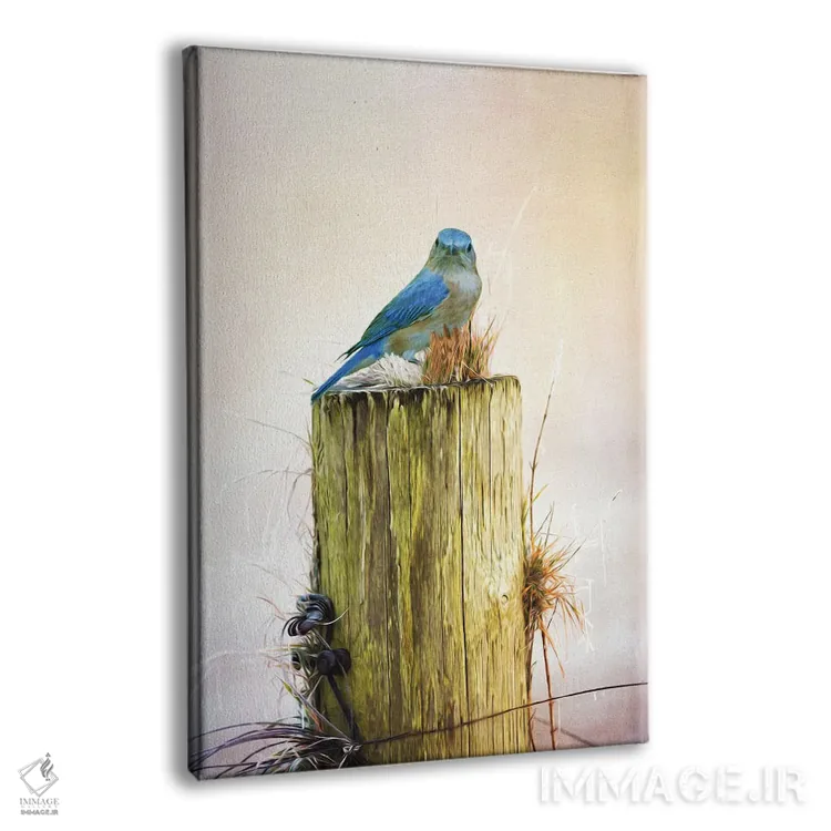 تابلو دکوراتیو مرغ آبی ماده روی تیرک حصار اثر لورا دی یانگ - نمای پرسپکتیو محصول