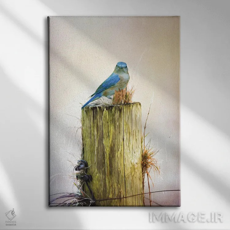 تابلو دکوراتیو مرغ آبی ماده روی تیرک حصار اثر لورا دی یانگ - نمای روبهرو روی دیوار