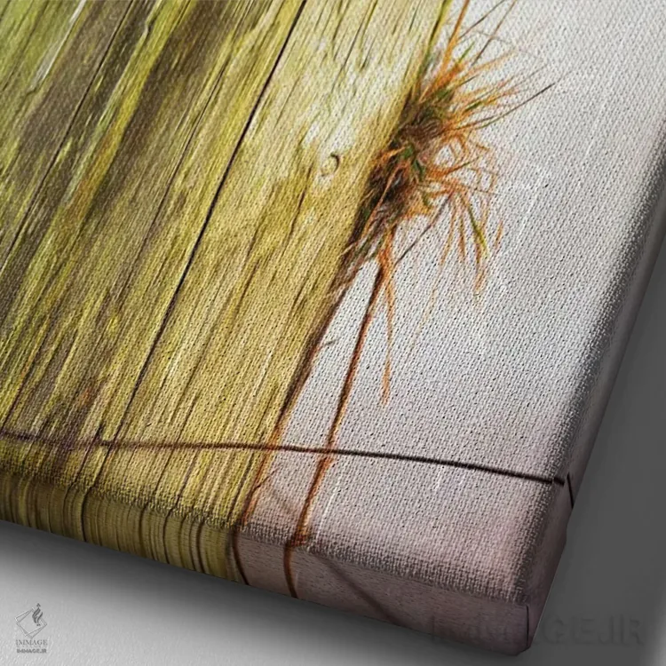 تابلو دکوراتیو مرغ آبی ماده روی تیرک حصار اثر لورا دی یانگ - نمای نزدیک بافت بوم