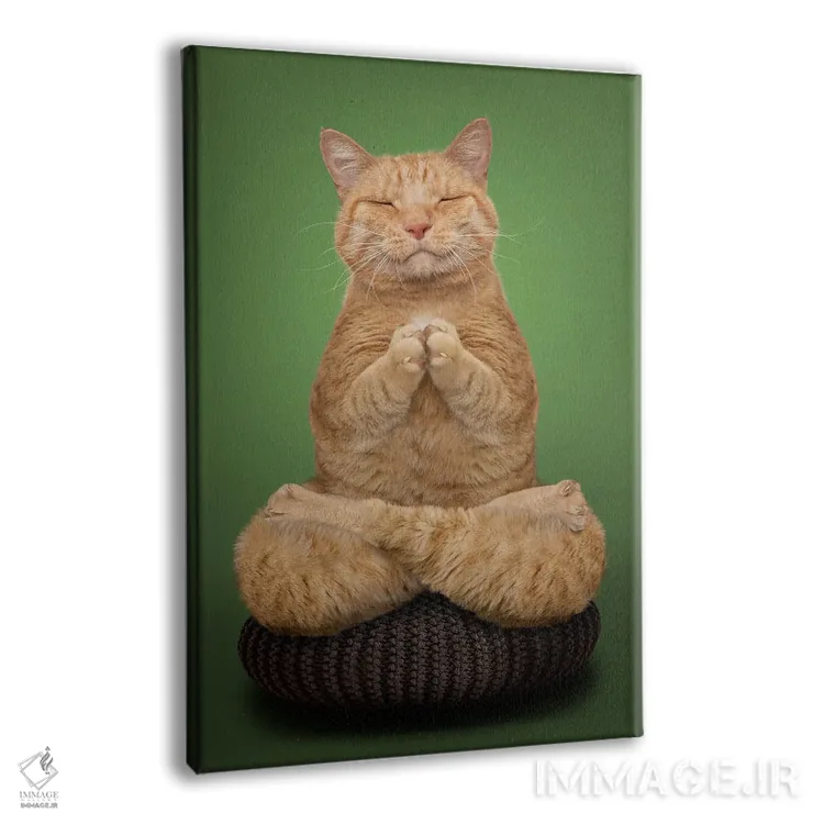 تابلو دکوراتیو گربه در حال مدیتیشن اثر لوند روزر - نمای پرسپکتیو محصول