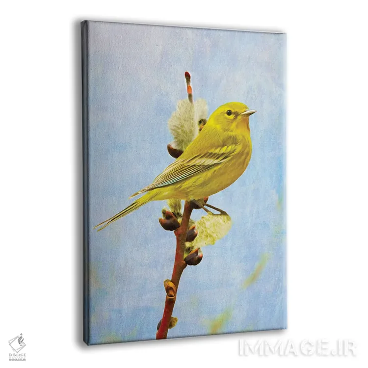 تابلو دکوراتیو سهره کاج بر شاخه بید اثر لورا دی یانگ - نمای پرسپکتیو محصول