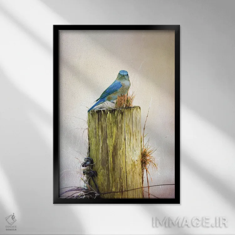 تابلو دکوراتیو مرغ آبی ماده روی تیرک حصار اثر لورا دی یانگ - نمای قابدار مشکی