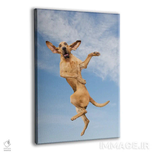 تابلو دکوراتیو سگ پرنده اثر لوند روزر - نمای پرسپکتیو محصول