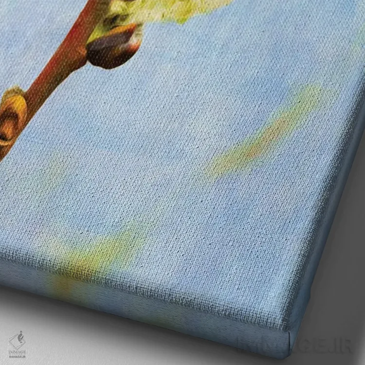 تابلو دکوراتیو سهره کاج بر شاخه بید اثر لورا دی یانگ - نمای نزدیک بافت بوم