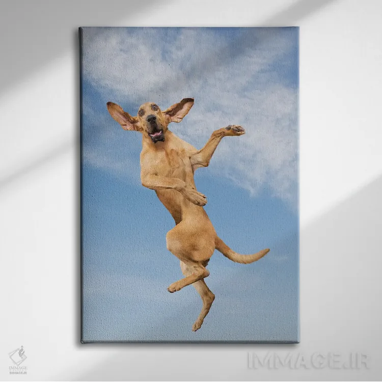 تابلو دکوراتیو سگ پرنده اثر لوند روزر - نمای روبهرو روی دیوار