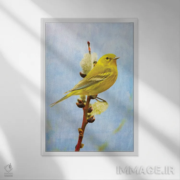 تابلو دکوراتیو سهره کاج بر شاخه بید اثر لورا دی یانگ - نمای قابدار سفید