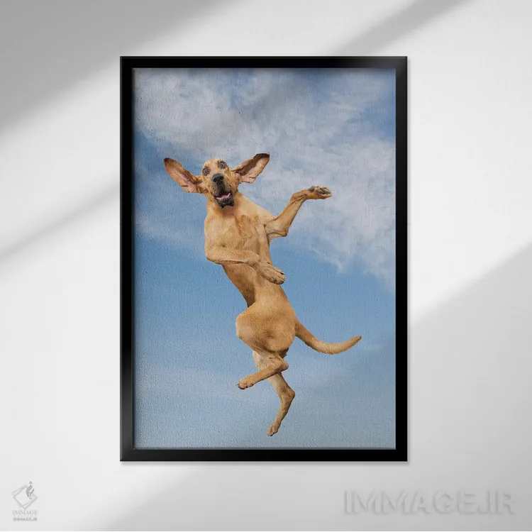 تابلو دکوراتیو سگ پرنده اثر لوند روزر - نمای قابدار مشکی