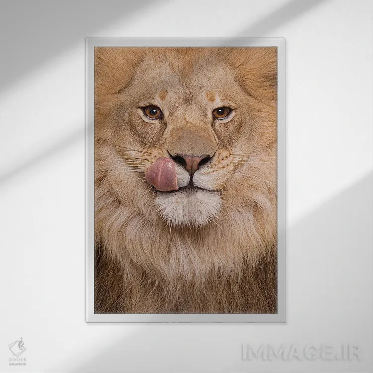 تابلو دکوراتیو شیر گرسنه اثر لوند روزر - نمای قابدار سفید