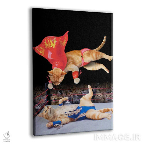 تابلو دکوراتیو کشتی گربه ها اثر لوند روزر - نمای پرسپکتیو محصول