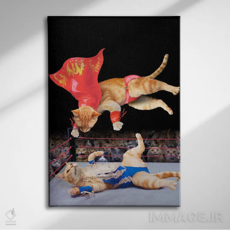 تابلو دکوراتیو کشتی گربه ها اثر لوند روزر - نمای روبهرو روی دیوار