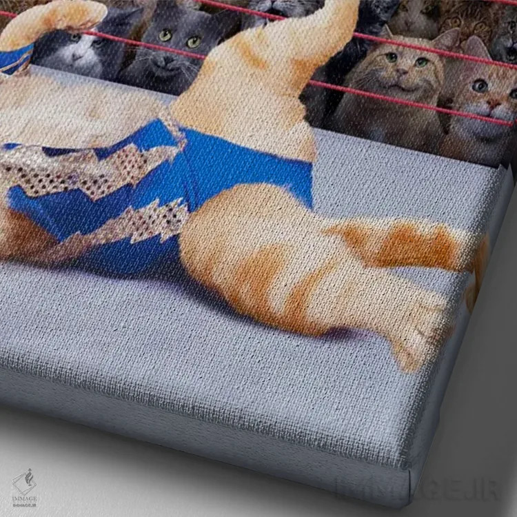 تابلو دکوراتیو کشتی گربه ها اثر لوند روزر - نمای نزدیک بافت بوم