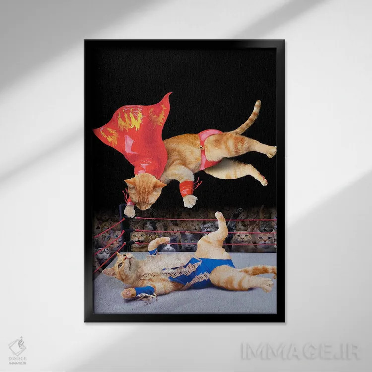 تابلو دکوراتیو کشتی گربه ها اثر لوند روزر - نمای قابدار مشکی