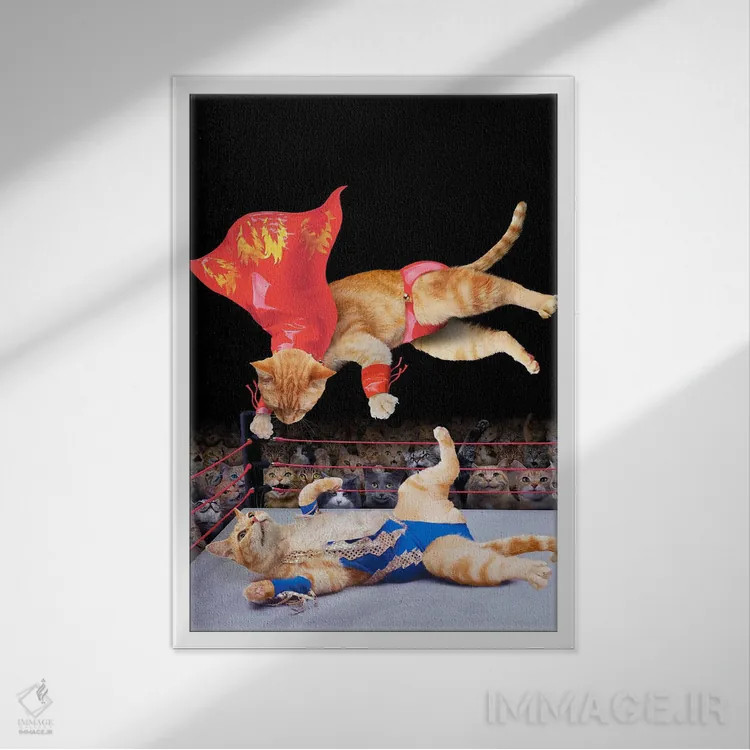 تابلو دکوراتیو کشتی گربه ها اثر لوند روزر - نمای قابدار سفید