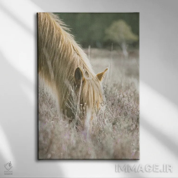 تابلو دکوراتیو اسب طلایی در چمنزار اثر لیا استراتسما - نمای روبهرو روی دیوار