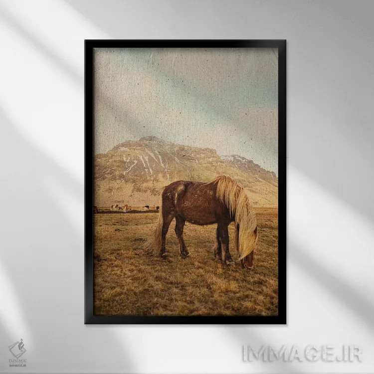 تابلو دکوراتیو خانه در دشت باز اثر لیا استراتسما - نمای قابدار مشکی