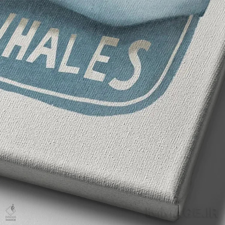 تابلو دکوراتیو نهنگ ها در قوطی اثر لیا استراتسما - نمای نزدیک بافت بوم