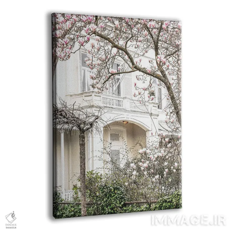 تابلو دکوراتیو خانه با گل مگنولیا اثر لیا استراتسما - نمای پرسپکتیو محصول