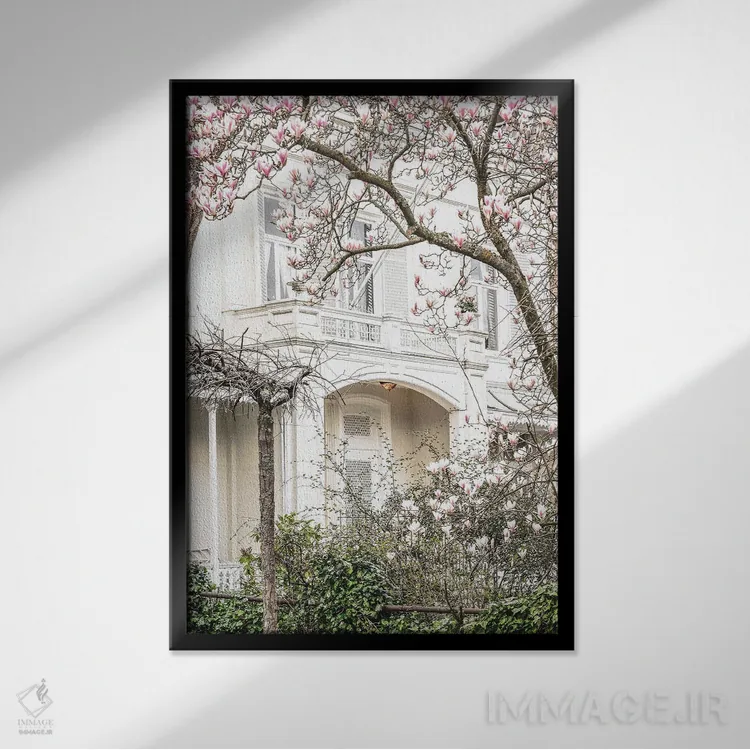 تابلو دکوراتیو خانه با گل مگنولیا اثر لیا استراتسما - نمای قابدار مشکی