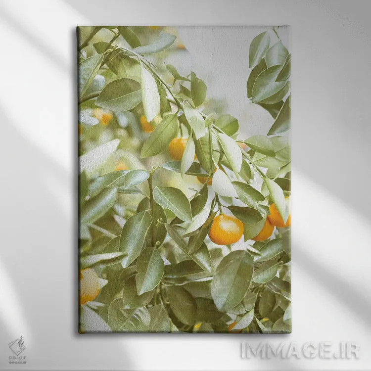 تابلو دکوراتیو آن جای مرکباتی اثر لیا استراتسما - نمای روبهرو روی دیوار