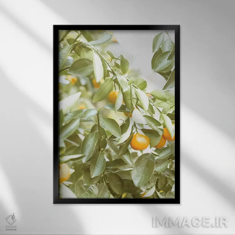 تابلو دکوراتیو آن جای مرکباتی اثر لیا استراتسما - نمای قابدار مشکی