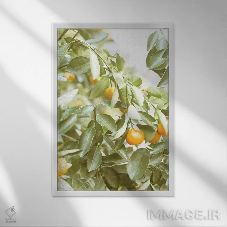 تابلو دکوراتیو آن جای مرکباتی اثر لیا استراتسما - نمای قابدار سفید